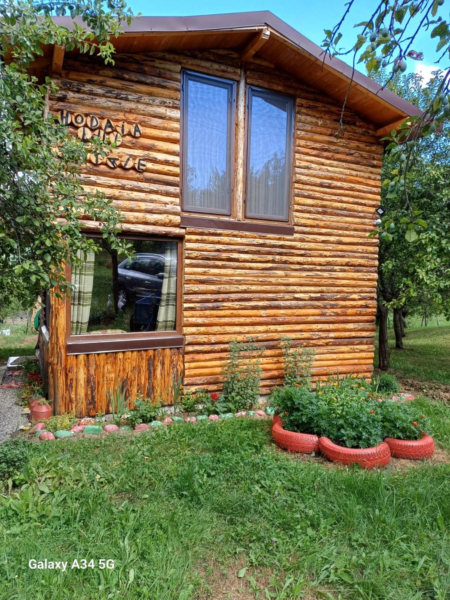 La Tataie Nucsoara Nucsoara (Arges) Exterior photo
